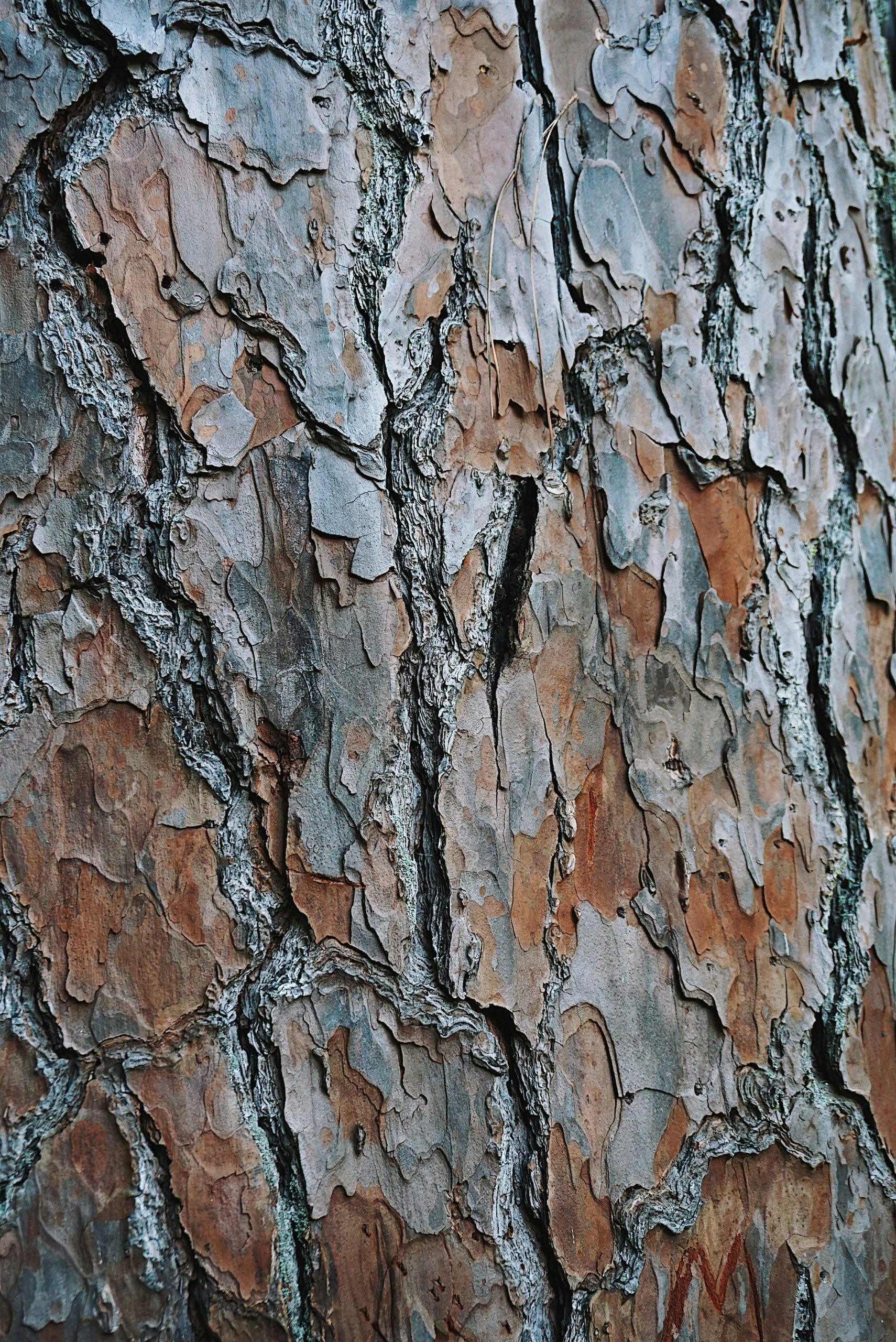 Hello World Featured Image